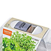 Siena Garden Anzucht-Set MALMÖ (Anthrazit, 29 x 19 x 19 cm, Kunststoff) | BAUHAUS