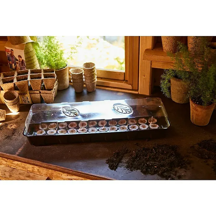Siena Garden Zimmergewächshaus - 53 x 15 x 11 cm, Dunkelbraun, Mit 36 Quelltabletten - Ein Anzuchtset mit schwarzer Schale und durchsichtigem Deckel, gefüllt mit Torfquelltöpfen, bereit zum Säen auf einer Werkbank mit Gartenzubehör.