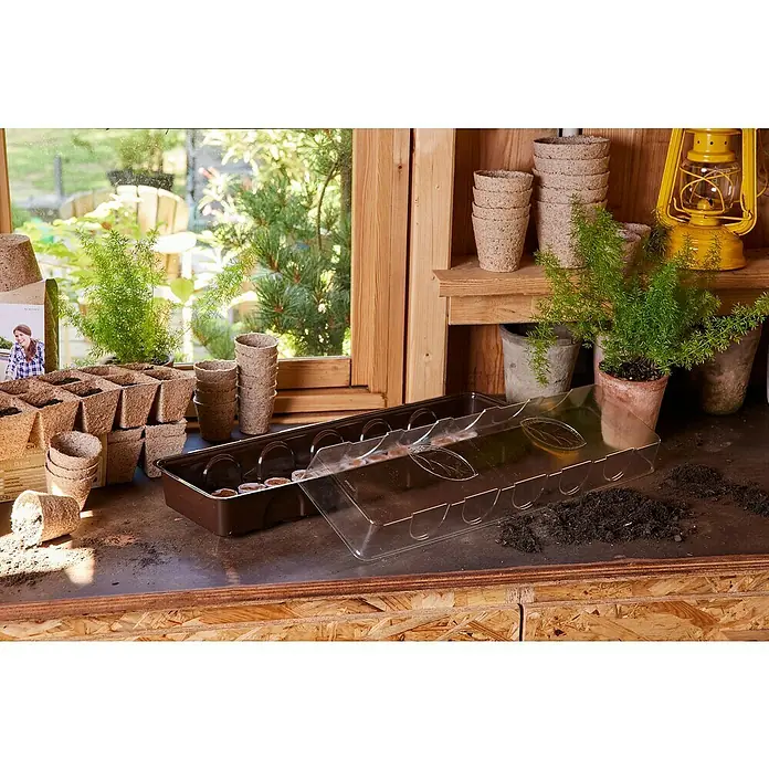 Siena Garden Zimmergewächshaus - 53 x 15 x 11 cm, Dunkelbraun, Mit 36 Quelltabletten - Biologisch abbaubare Anzuchttöpfe und braune Anzuchtschale mit transparenter Haube auf einem Holztisch.