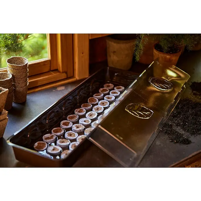 Siena Garden Zimmergewächshaus - 53 x 15 x 11 cm, Dunkelbraun, Mit 36 Quelltabletten - Schwarze Anzuchtschale mit Torfquelltabletten und Klarsichtdeckel, neben gestapelten Torftöpfen am Fenster.