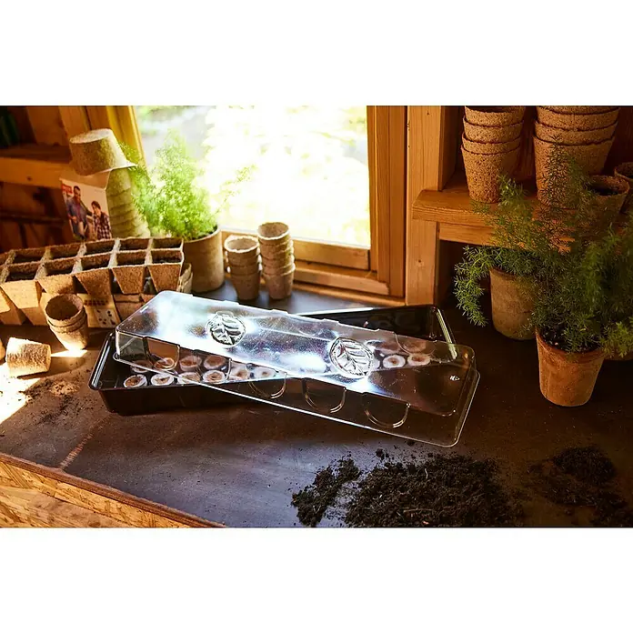 Siena Garden Zimmergewächshaus - 53 x 15 x 11 cm, Dunkelbraun, Mit 36 Quelltabletten - Durchsichtiger Kunststoffdeckel für Anzuchtkasten auf schwarzer Saatschale mit Torfquelltabletten, in sonnigem Gartenhaus.