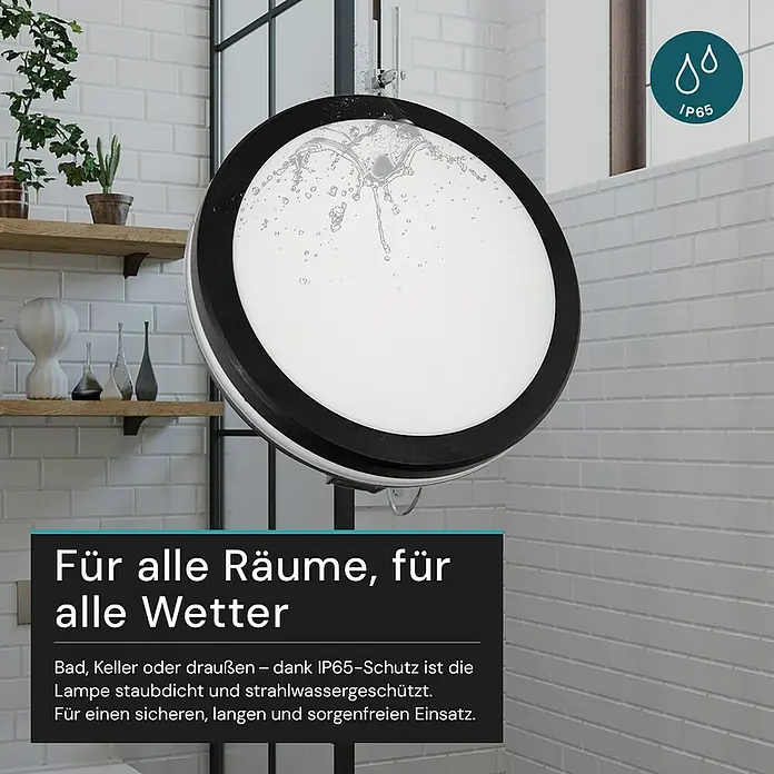 Luxula LED-Deckenleuchte rund - 30 W, Ø x H: 30 x 6,1 cm, Schwarz, Mehrfarbig