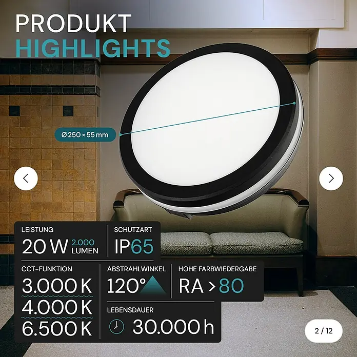 Luxula LED-Deckenleuchte rund - 20 W, Ø x H: 20 x 5,6 cm, Schwarz, Mehrfarbig
