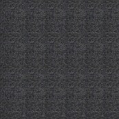 Siena Garden Atria Sitzauflage (L x B x H: 170 x 48 x 6 cm, Anthrazit, Polyester, 1 Stk.) | BAUHAUS