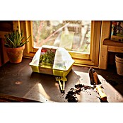 Siena Garden Anzucht-Set MALMÖ (Pastellgrün, 29 x 19 x 19 cm, Kunststoff) | BAUHAUS