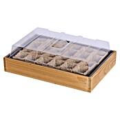 Siena Garden Anzuchtschale Innlandert (Hellbraun, L x B x H: 35 x 24 x 11 cm) | BAUHAUS