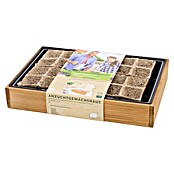 Siena Garden Anzuchtschale Innlandert (Hellbraun, L x B x H: 35 x 24 x 11 cm) | BAUHAUS