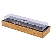 Siena Garden Anzuchtschale Nordland (Holz, Natur, L x B x H: 55 x 17 x 12 cm) | BAUHAUS