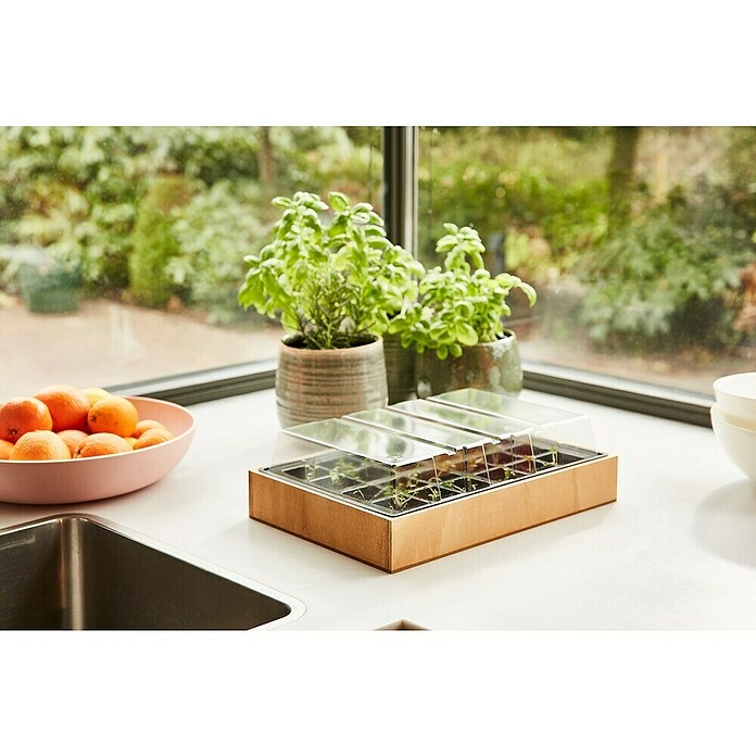 Siena Garden Zimmergewächshaus Agder (L x B x H: 34 x 24 x 6 cm, Hellbraun) | BAUHAUS