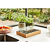 Siena Garden Zimmergewächshaus Agder (L x B x H: 34 x 24 x 6 cm, Hellbraun) | BAUHAUS