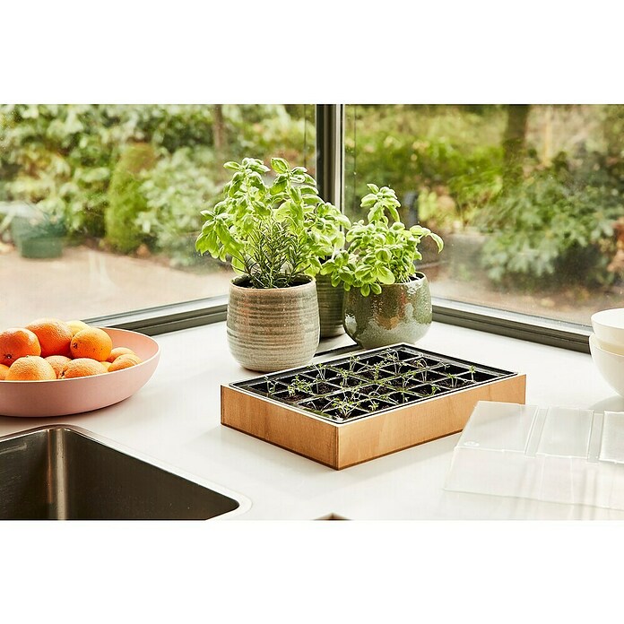 Siena Garden Zimmergewächshaus Agder (L x B x H: 34 x 24 x 6 cm, Hellbraun) | BAUHAUS
