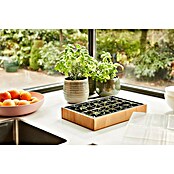 Siena Garden Zimmergewächshaus Agder (L x B x H: 34 x 24 x 6 cm, Hellbraun) | BAUHAUS
