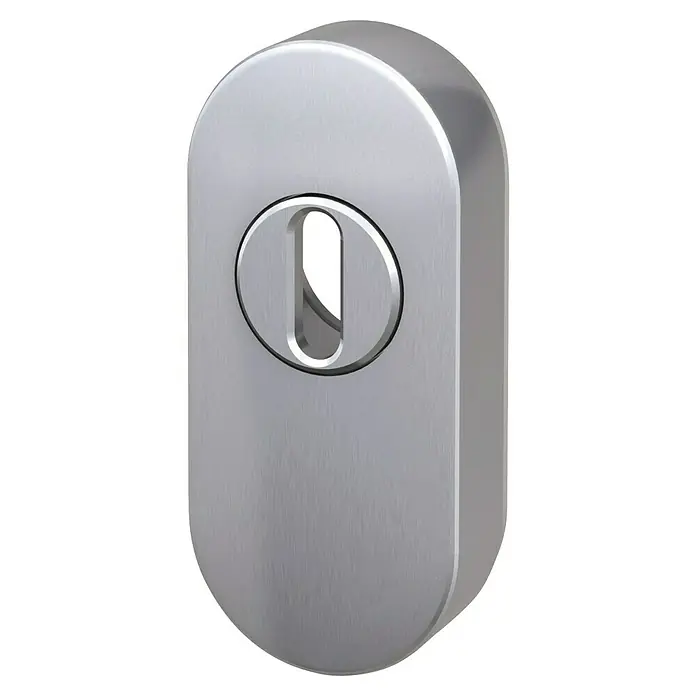 Basi Schlüsselschild SR 4100 ZA - Silber - Ovaler Schutzbeschlag für Schlüssellöcher aus gebürstetem Metall.
