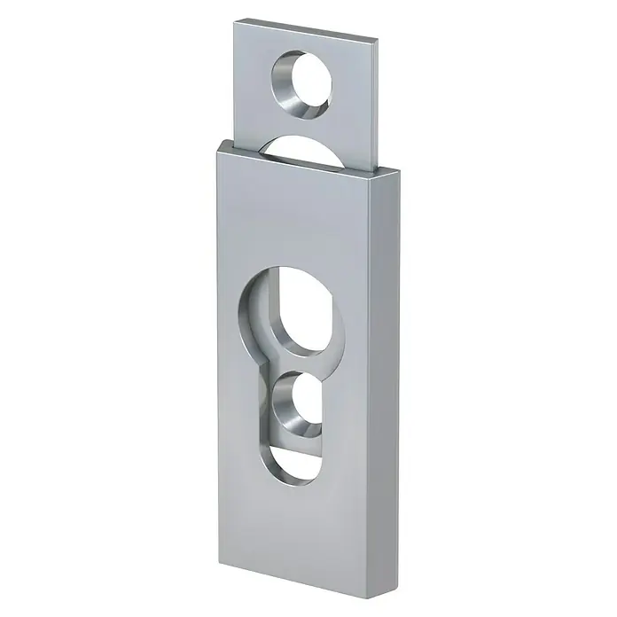 Basi Schlüsselschild SR 450 - Silber, Stärke Rosette: 14 mm - Silberne, rechteckige Wägezelle mit Schlüsselloch- und Rundöffnungen.