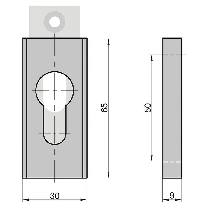 Basi Schlüsselschild SR 450 - Weiß, Stärke Rosette: 9 mm - Technische Zeichnung einer grauen Metall-Schließblechplatte mit Schlüsselloch und oberer Befestigungsbohrung. Maße 65x30x9 mm.
