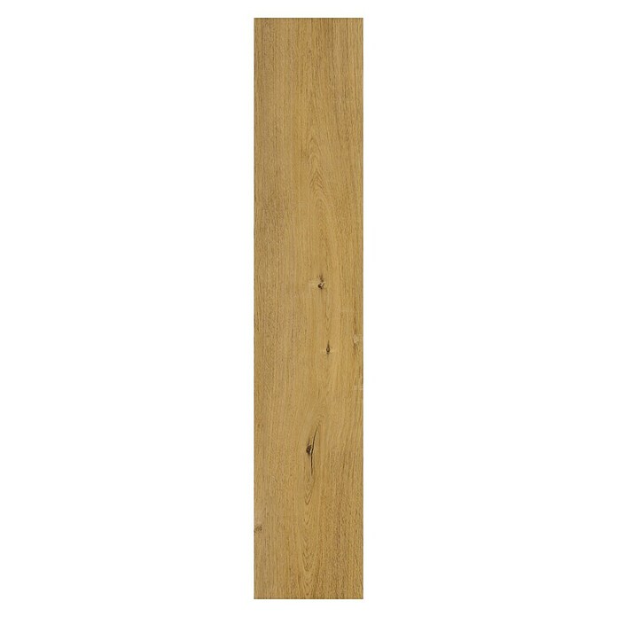 Vinylvloer XB Frisco Oak (1.220 x 229 x 5,3 mm, Frisco oak, Planken) | BAUHAUS