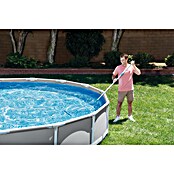 Intex Ščetka za bazen  (406 mm) | 8324 - Schwimmbadtechnik | ICIC - Pools / Whirlpools Zubehör | ICI - Pools & Zubehör | IC - Freizeit im Garten | I - Stadtgarten | BAUHAUS