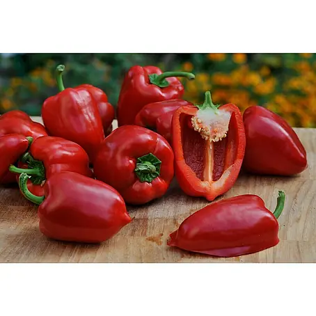 Piardino Bio Paprika