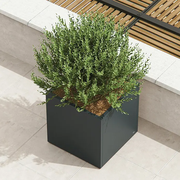 Herstera Garden Pflanzkasten Cube - Außenmaß (L x B x H): 80 x 80 x 80 cm, Metall, Anthrazit - Dunkelgrauer quadratischer Pflanzkübel mit üppigem Grünstrauch, auf einer gefliesten Terrasse unter einer Holzpergola.
