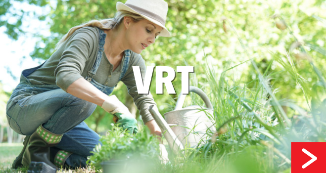 Vrt