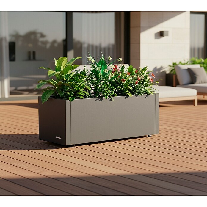 Herstera Garden Pflanzkasten Cube (Außenmaß (L x B x H): 60 x 25 x 25 cm, Metall, Anthrazit) | BAUHAUS