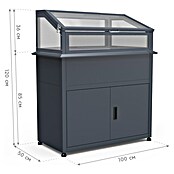 Westmann Hochbeet Plex Plus mit Frühbeetaufsatz (50 x 100 x 120 cm, Metall, Anthrazit) | BAUHAUS