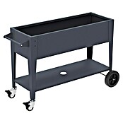 Westmann Hochbeet Mobila Plus (50 x 118 x 80 cm, Metall, Anthrazit) | BAUHAUS