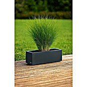 Herstera Garden Pflanzkasten Cube (Außenmaß (L x B x H): 80 x 25 x 25 cm, Metall, Anthrazit) | BAUHAUS