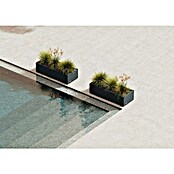 Herstera Garden Pflanzkasten Cube (Außenmaß (L x B x H): 100 x 40 x 25 cm, Metall, Anthrazit) | BAUHAUS