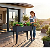 Westmann Hochbeet Vedura (40 x 74 x 80 cm, Metall, Anthrazit) | BAUHAUS
