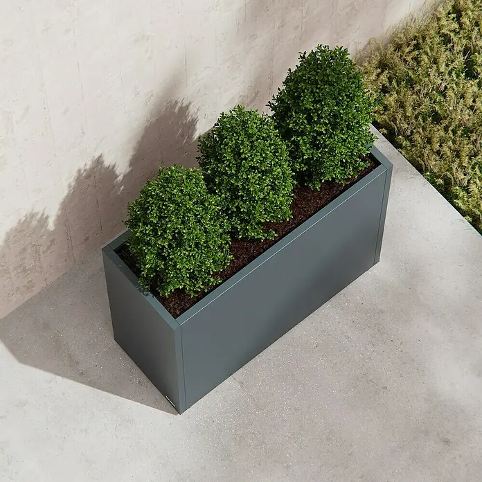 Herstera Garden Pflanzkasten Cube - Außenmaß (L x B x H): 100 x 40 x 80 cm, Metall, Anthrazit - Dunkelgrauer rechteckiger Pflanzkübel mit drei grünen Buschpflanzen auf Beton neben einer hellen Wand.
