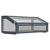 Westmann Frühbeet-Aufsatz Tega (Passend für: Westmann Hochbeete Primus M und Plexa, L x B x H: 100 x 50 x 36 cm) | BAUHAUS