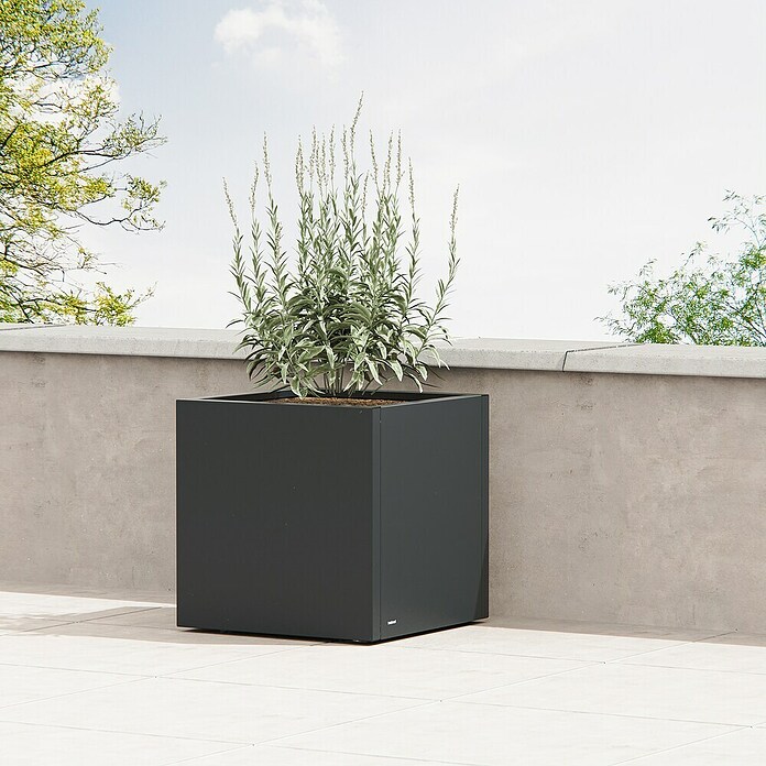 Herstera Garden Pflanzkasten Cube (Außenmaß (L x B x H): 60 x 60 x 60 cm, Metall, Anthrazit) | BAUHAUS