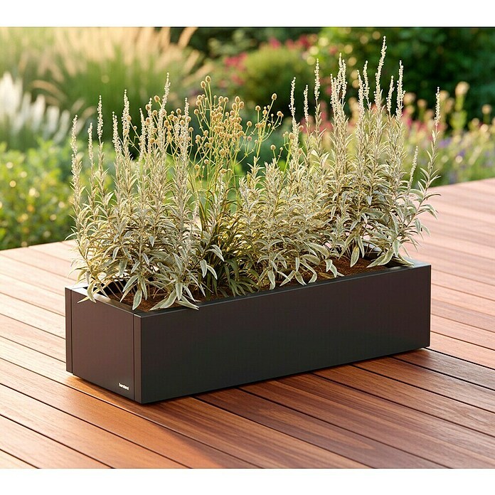 Herstera Garden Pflanzkasten Cube (Außenmaß (L x B x H): 100 x 40 x 25 cm, Metall, Anthrazit) | BAUHAUS