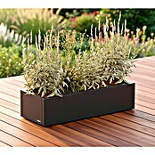 Herstera Garden Pflanzkasten Cube (Außenmaß (L x B x H): 100 x 40 x 25 cm, Metall, Anthrazit) | BAUHAUS
