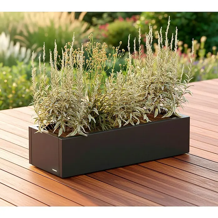 Herstera Garden Pflanzkasten Cube - Außenmaß (L x B x H): 100 x 40 x 25 cm, Metall, Anthrazit - Dunkelgrauer rechteckiger Pflanzkübel mit Pflanzen, auf einer Holzterrasse im Garten.