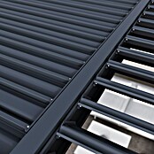 Pergola Grand Tuscan 1224 (L x B x H: 369 x 721 x 256 cm, Anthrazit, Aluminium) | BAUHAUS