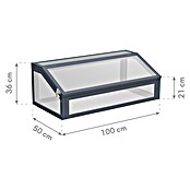 Westmann Frühbeet-Aufsatz Tega (Passend für: Westmann Hochbeete Primus M und Plexa, L x B x H: 100 x 50 x 36 cm) | BAUHAUS