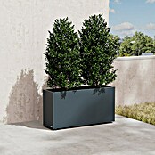 Herstera Garden Pflanzkasten Cube (Außenmaß (L x B x H): 30 x 100 x 50 cm, Metall, Anthrazit) | BAUHAUS