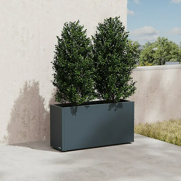 Herstera Garden Pflanzkasten Cube 30 M - Außenmaß (L x B x H): 30 x 100 x 50 cm, Metall, Anthrazit - Großer anthrazitfarbener Pflanzkübel mit Grünpflanzen auf einer modernen Terrasse.