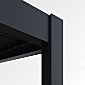 Pergola Icon 1013 (L x B x H: 308 x 399 x 282 cm, Anthrazit, Aluminium) | BAUHAUS