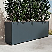 Herstera Garden Pflanzkasten Cube (Außenmaß (L x B x H): 150 x 30 x 50 cm, Metall, Anthrazit) | BAUHAUS
