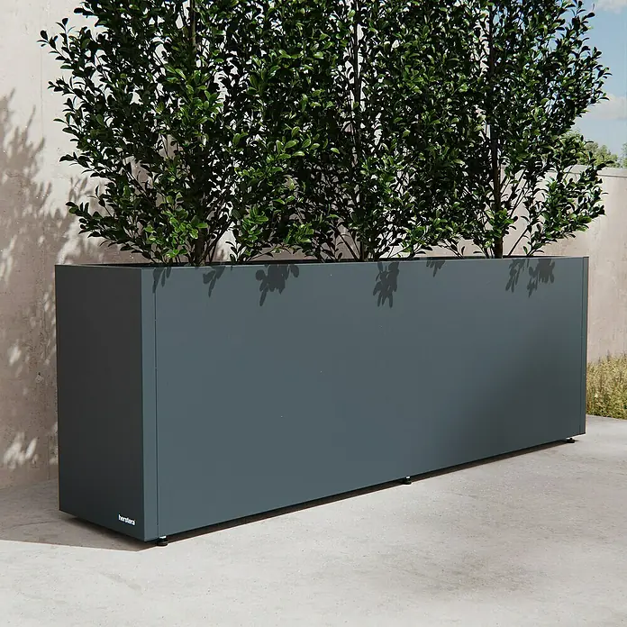 Herstera Garden Pflanzkasten Cube - Außenmaß (L x B x H): 150 x 30 x 50 cm, Metall, Anthrazit - Langes, dunkelgraues hersterra Metallpflanzgefäß mit grünen Sträuchern auf einer Betonterrasse.
