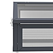 Westmann Frühbeet-Aufsatz Tega (Passend für: Westmann Hochbeete Primus M und Plexa, L x B x H: 100 x 50 x 36 cm) | BAUHAUS