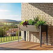 Westmann Hochbeet Vedura (30 x 100 x 80 cm, Metall, Anthrazit) | BAUHAUS