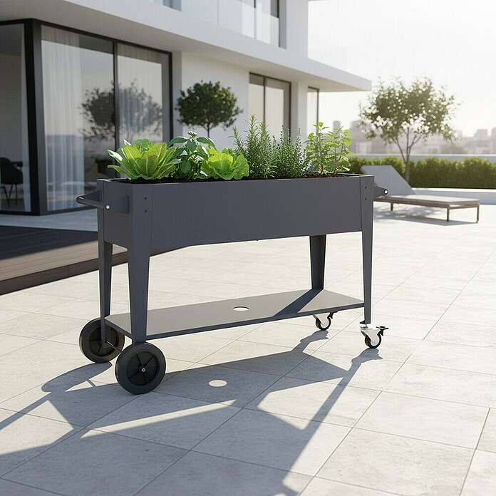 Westmann Hochbeet Mobila Plus (50 x 118 x 80 cm, Metall, Anthrazit) | BAUHAUS