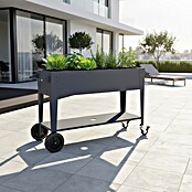 Westmann Hochbeet Mobila Plus (50 x 118 x 80 cm, Metall, Anthrazit) | BAUHAUS