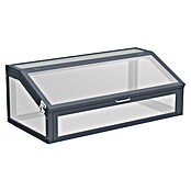 Westmann Frühbeet-Aufsatz Tega (Passend für: Westmann Hochbeete Primus M und Plexa, L x B x H: 100 x 50 x 36 cm) | BAUHAUS