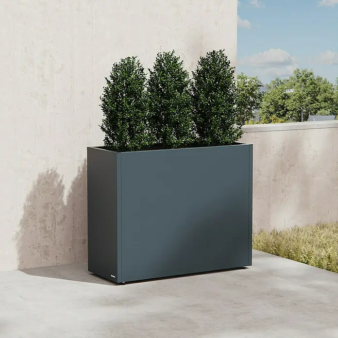 Herstera Garden Pflanzkasten Cube - Außenmaß (L x B x H): 100 x 40 x 80 cm, Metall, Anthrazit - Großer dunkelgrauer rechteckiger Blumenkasten mit drei grünen Pflanzen auf einer Betonterrasse.