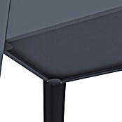 Westmann Hochbeet Mobila Plus (50 x 118 x 80 cm, Metall, Anthrazit) | BAUHAUS